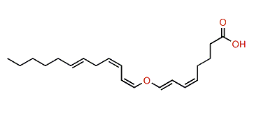 (1Z,3Z,5Z,6Z,7E)-8-(1,3,6-Dodecatrienyloxy)-5,7-octadienoic acid